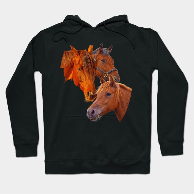 Grateful picture for horse lovers - beautiful horses Hoodie by Hujer